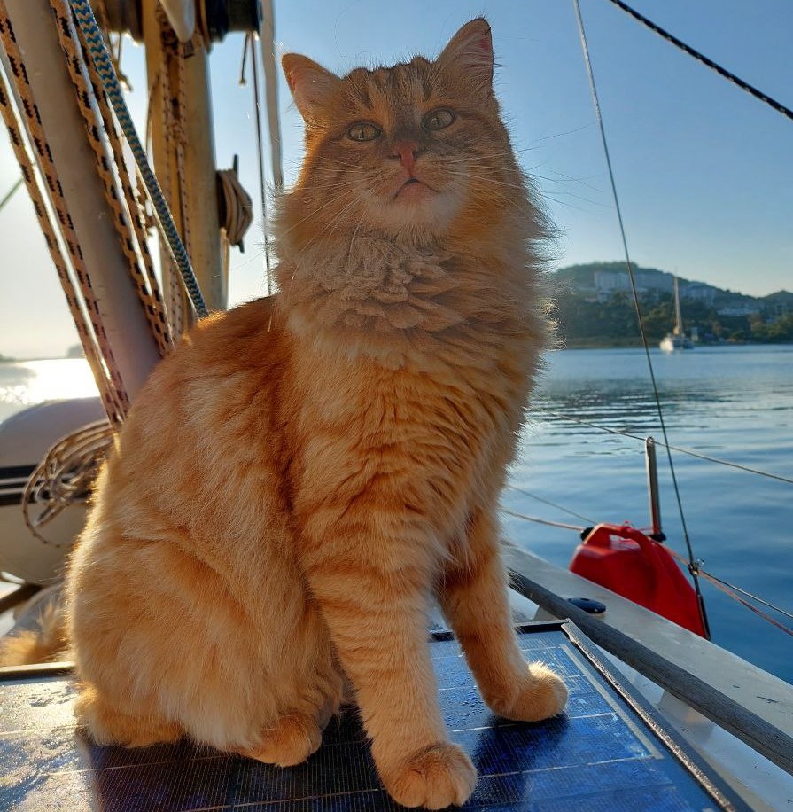 pic